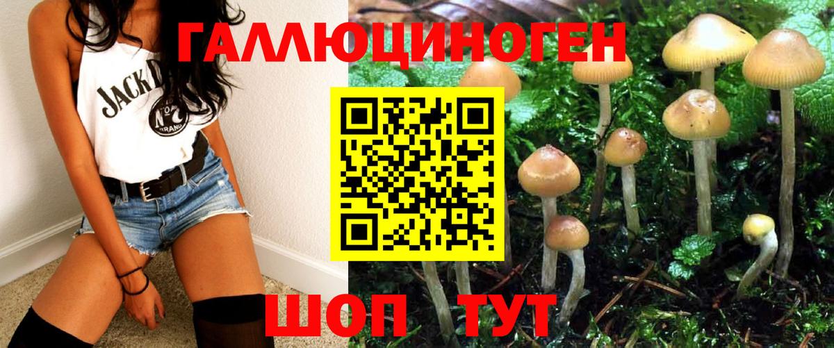 Псилоцибиновые грибы Magic Shrooms  закладка  Ахтубинск  Вход с VPN 